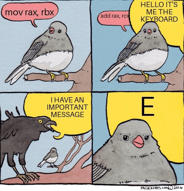 Fejl